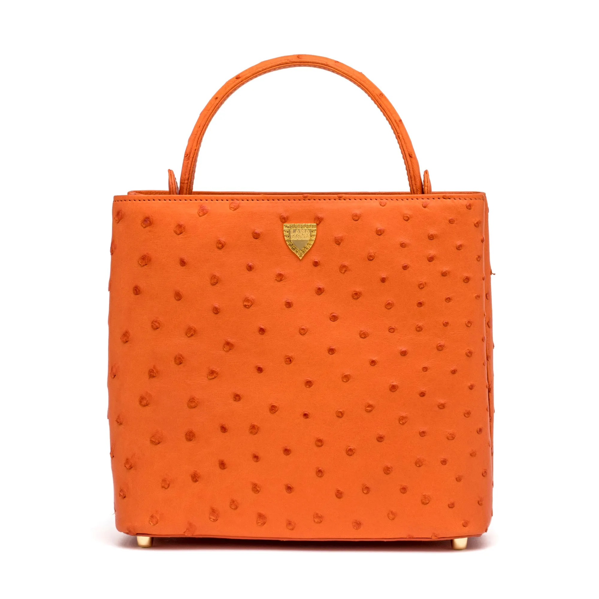 Skyla Tote in Orange